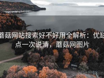蘑菇网站搜索好不好用全解析：优缺点一次说清，蘑菇网图片