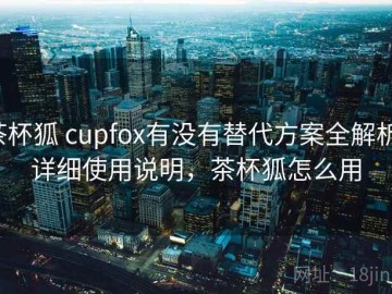 茶杯狐 cupfox有没有替代方案全解析：详细使用说明，茶杯狐怎么用