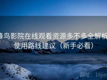 蜂鸟影院在线观看资源多不多全解析：使用路线建议（新手必看）