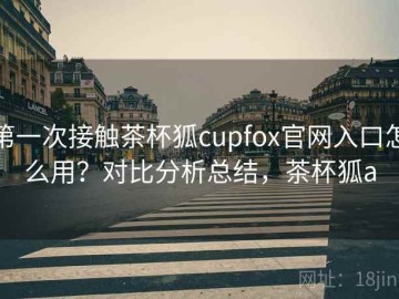 第一次接触茶杯狐cupfox官网入口怎么用？对比分析总结，茶杯狐a
