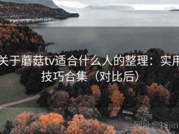 关于蘑菇tv适合什么人的整理：实用技巧合集（对比后）