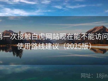 第一次接触白虎网站现在能不能访问？使用路线建议（2025版）
