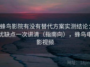 蜂鸟影院有没有替代方案实测结论：优缺点一次讲清（指南向），蜂鸟电影视频