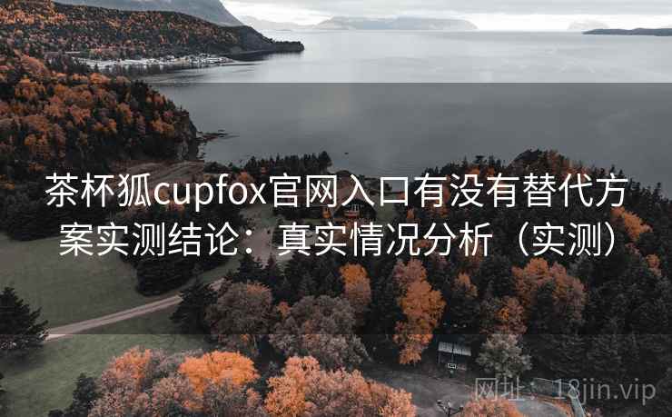 茶杯狐cupfox官网入口有没有替代方案实测结论：真实情况分析（实测）
