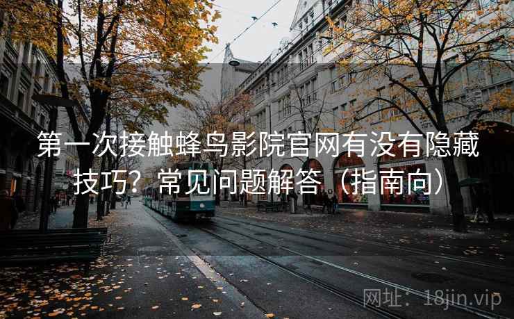 第一次接触蜂鸟影院官网有没有隐藏技巧?常见问题解答(指南向) 第一次接触蜂鸟影院官网有没有隐藏技巧?常见问题解答(指南向)