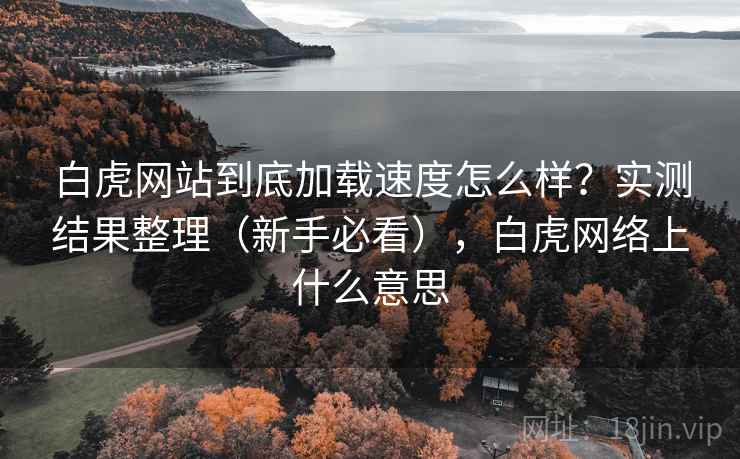 白虎网站到底加载速度怎么样?实测结果整理(新手必看),白虎网络上什么意思 白虎网站到底加载速度怎么样?实测结果整理(新手必看),白虎网络上什么意思