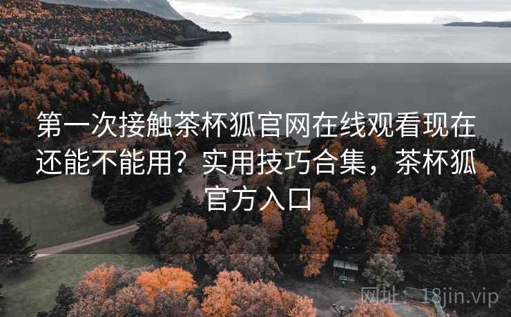 第一次接触茶杯狐官网在线观看现在还能不能用?实用技巧合集,茶杯狐官方入口 第一次接触茶杯狐官网在线观看现在还能不能用?实用技巧合集,茶杯狐官方入口